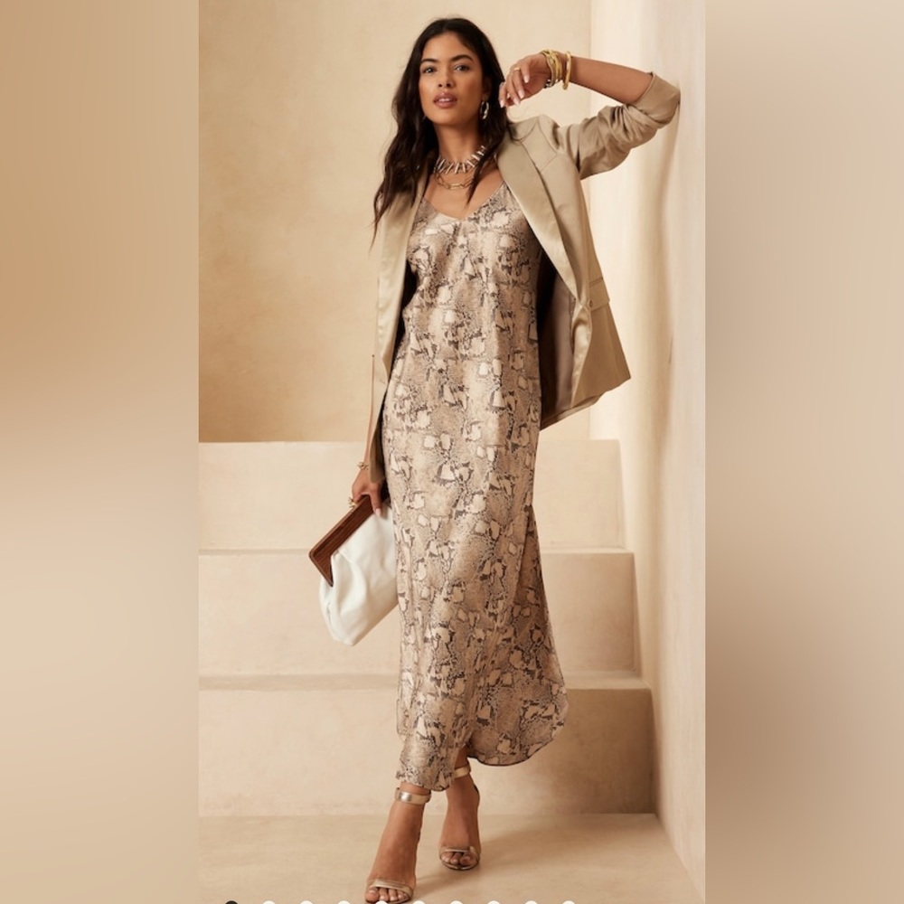 NWT Banana Republic Dreamer Silk Dress sz M